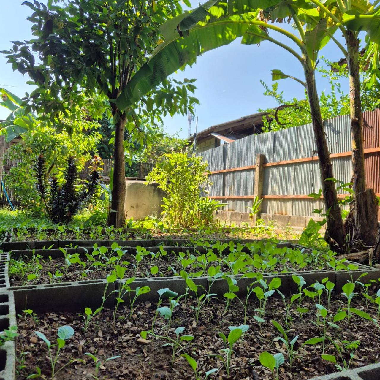 Kedthawa Homestay เฮือนเก็ดถะหวา Ban Cho Lae ภายนอก รูปภาพ
