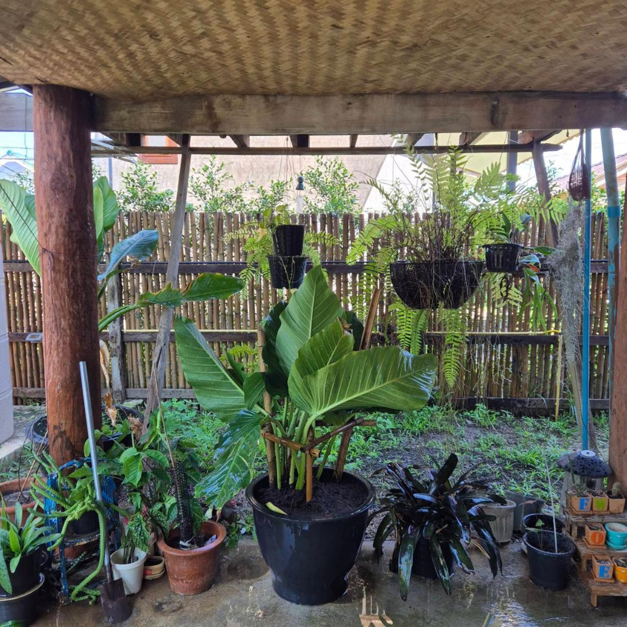 Kedthawa Homestay เฮือนเก็ดถะหวา Ban Cho Lae ภายนอก รูปภาพ
