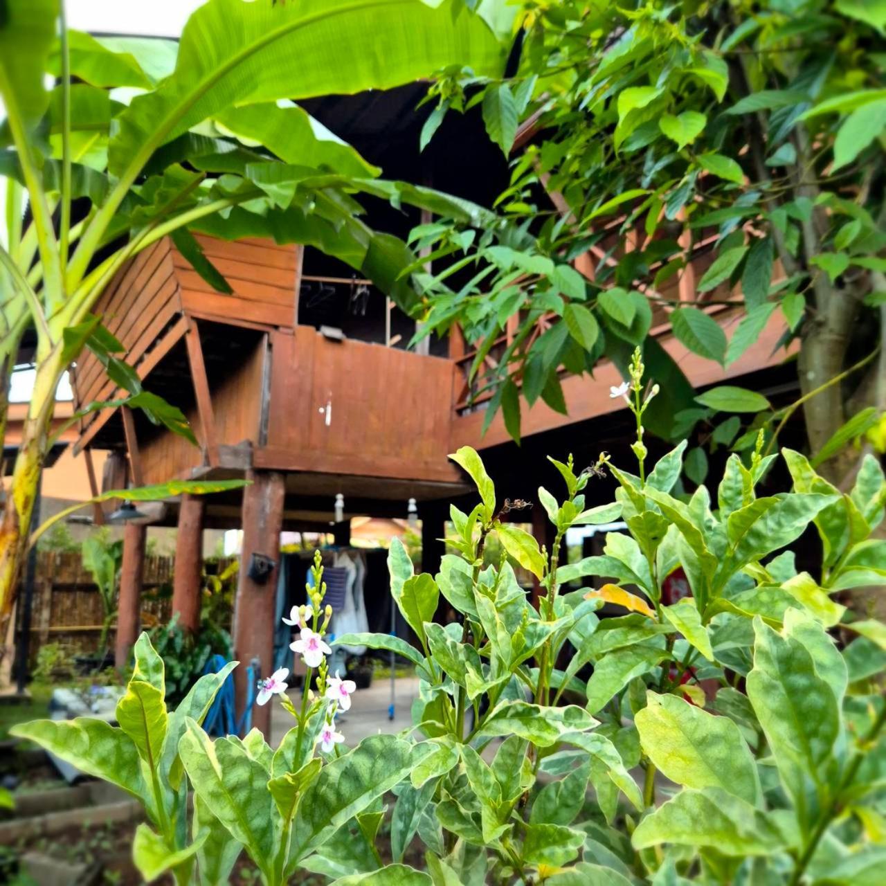 Kedthawa Homestay เฮือนเก็ดถะหวา Ban Cho Lae ภายนอก รูปภาพ