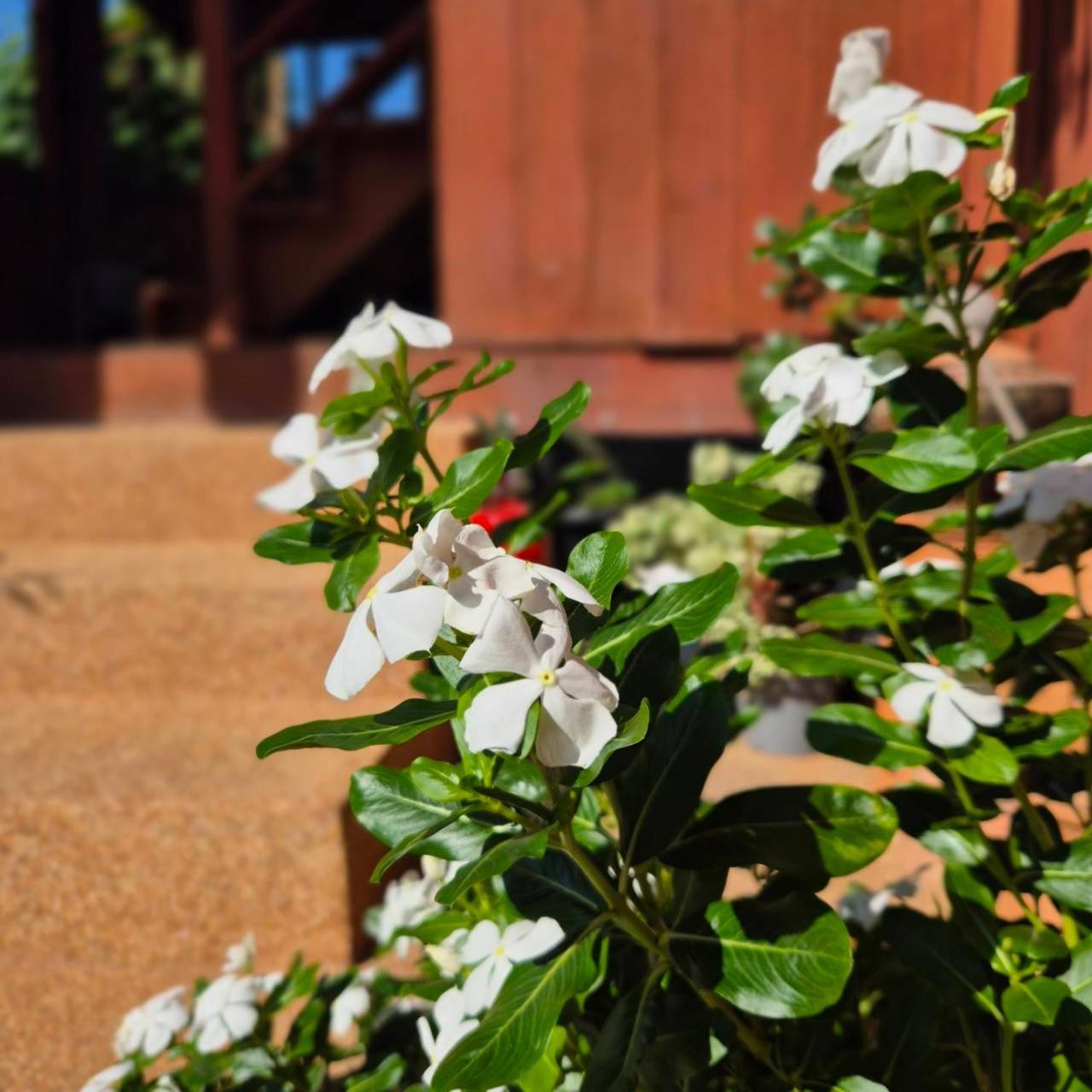 Kedthawa Homestay เฮือนเก็ดถะหวา Ban Cho Lae ภายนอก รูปภาพ