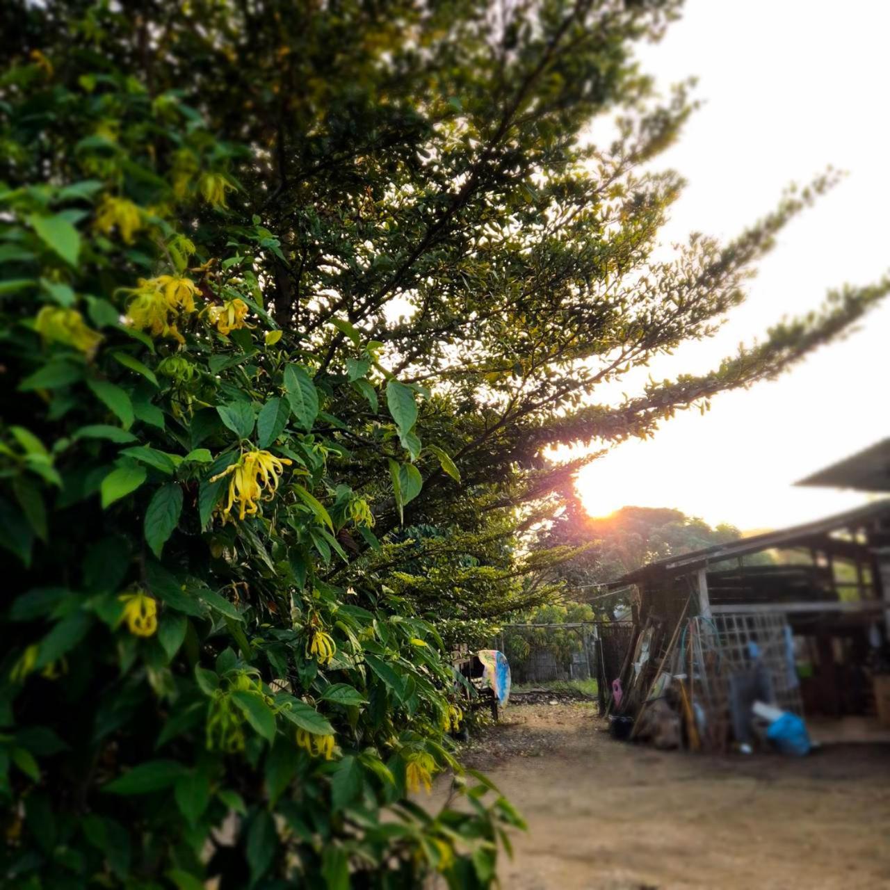 Kedthawa Homestay เฮือนเก็ดถะหวา Ban Cho Lae ภายนอก รูปภาพ